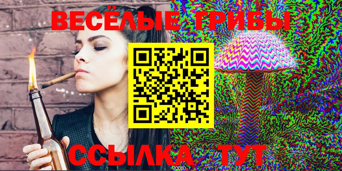 Дюртюли  Псилоцибиновые грибы GOLDEN TEACHER  Вход с VPN 